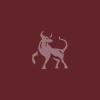 Taurus Search