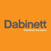 dabinettsurveyors.co.uk