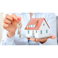 Real Estate And Palm Oil Investment