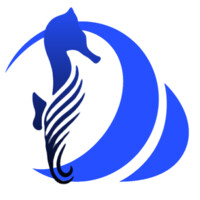 seahorse-energy.com