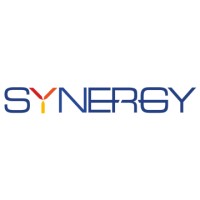 Synergy Punching P