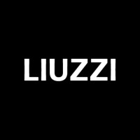 Liuzzi Group