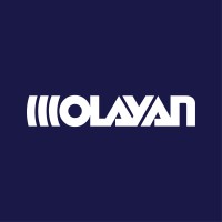 Olayan Saudi Holding