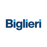 thebiglierigroup.com
