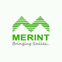 merint.com
