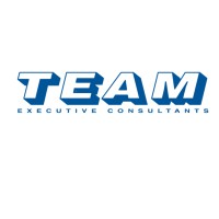 Team Executive Consultants