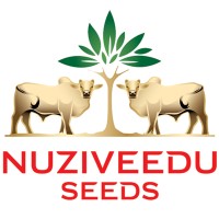 Nuziveedu Seeds