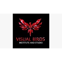 Visual Birds Studio