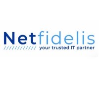 netfidelis.com