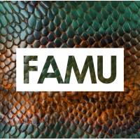 famu.edu