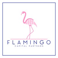 Flamingo Capital Partners