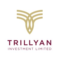 trillyaninvestment.com