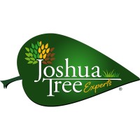 joshuatreeexperts.com