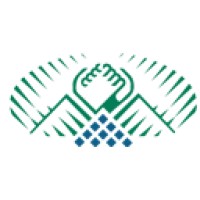 mountaintelephone.com