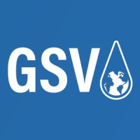 gsv-inspect.com