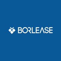 borlease.com.tr