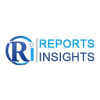 reportsinsights.com