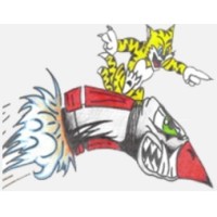 Tomcat Aviation