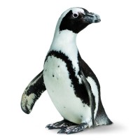 calacademy.org