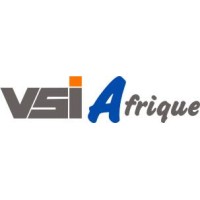 vsi-afrique.com