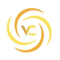 vigilantconsultancy.com