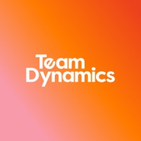 teamdynamics.pt