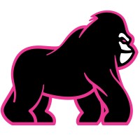 payrilla.com