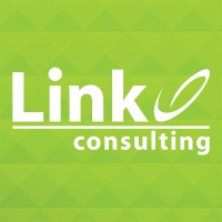 Link Consulting Services LinkCS