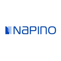 Napino Auto & Electronics
