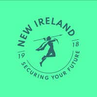 newireland.ie