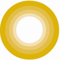 focusbank.com