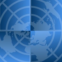 UN Human Rights Council Investigative Bodies