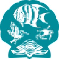 rentalsatthebeach.com