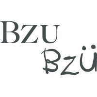 bzubzu.sg