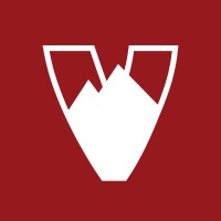 Velosolutions Global