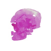 exileedit.com