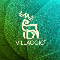 villaggio.co.in