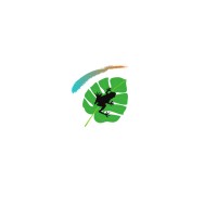 treefroglogistics.com