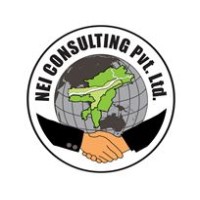 neindiaconsulting.com