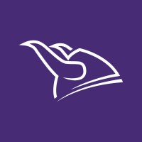Viking Partners