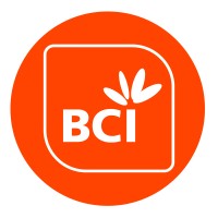 bci.co.mz