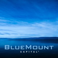 BlueMount Capital