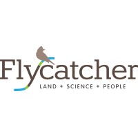 Flycatcher