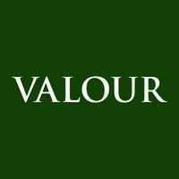 valourgroup.ca