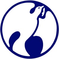 Noah Agencies 'N' Marine Services