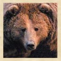 blackforestdecor.com